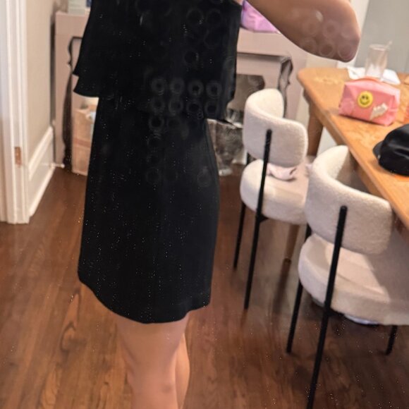 BCBG Alyse dress / Size 6S/ Black Worn once - Picture 3 of 3
